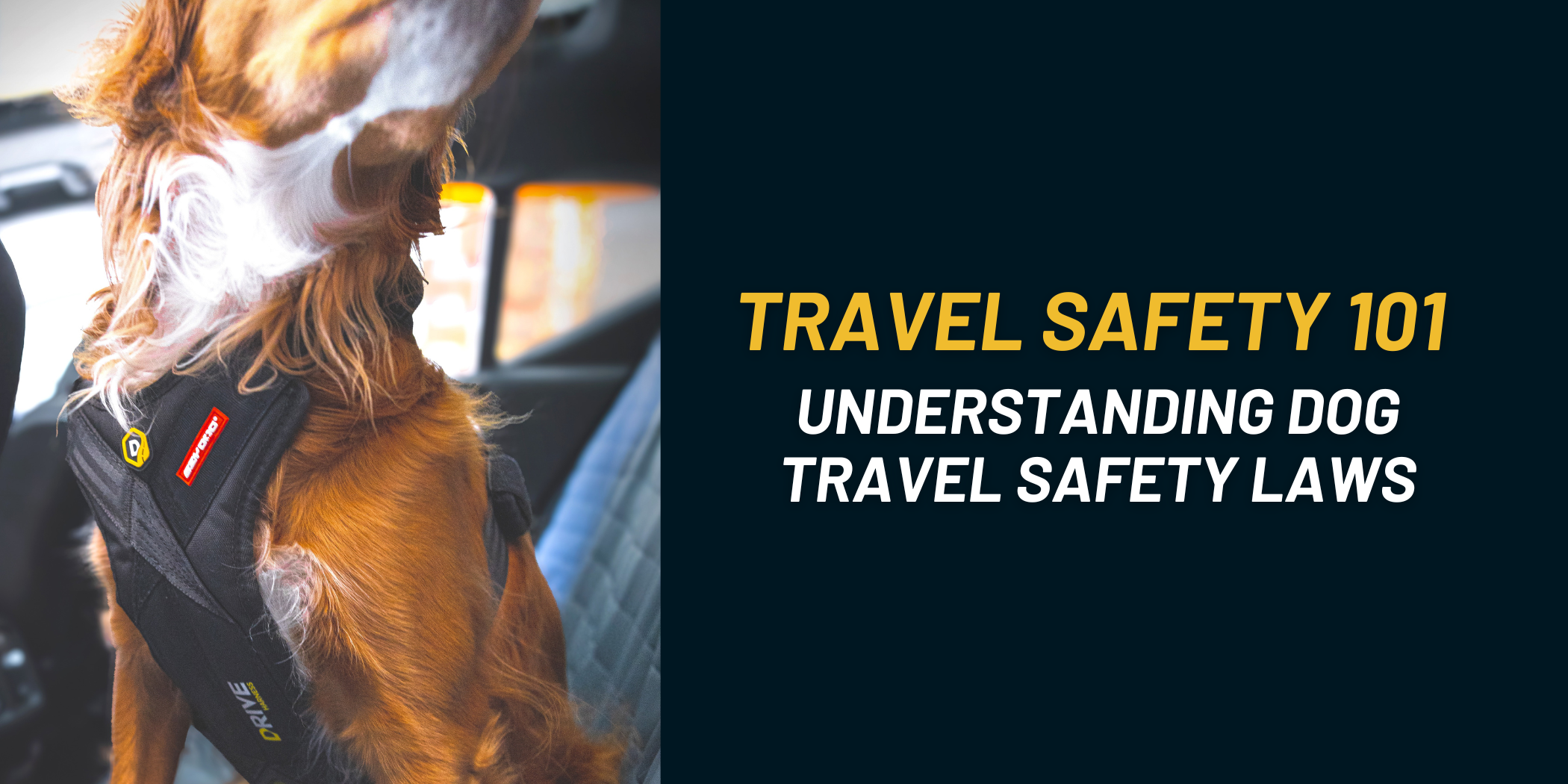 Best Crash Tested Dog Harness UK: Dog Car Travel Safety Explained