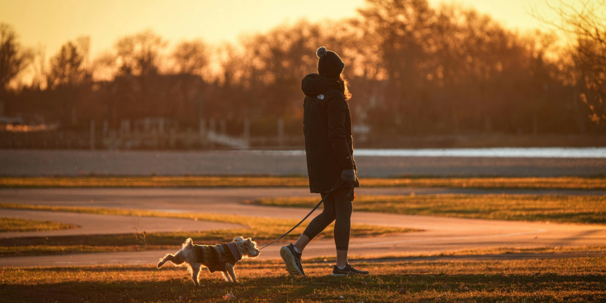 Dark Morning Walks? How to Stay Safe During National Walk Your Dog Month