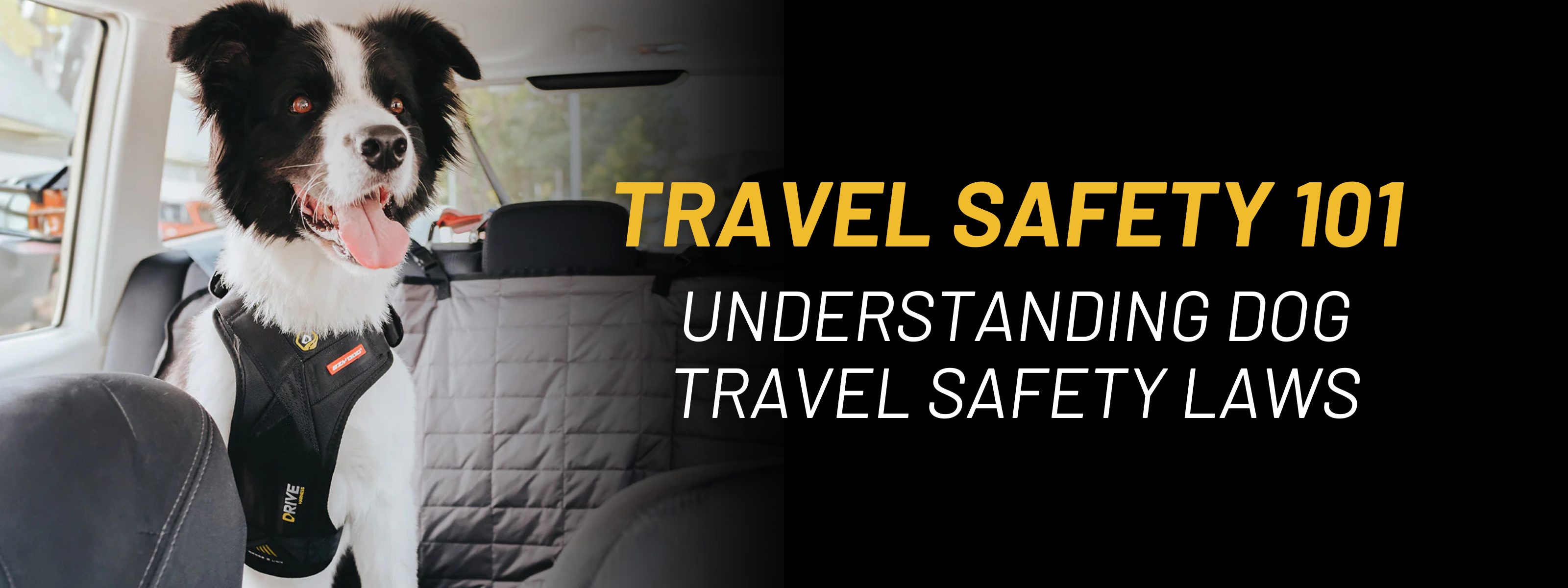 Best Crash Tested Dog Harness UK: Dog Travel Safety Explained