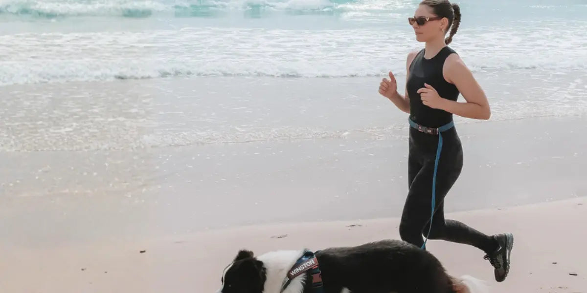Running Lead for Dogs UK: Best Options for Jogging With Your Dog