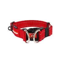 Red adjustable dog collar with metal buckle and D-rings