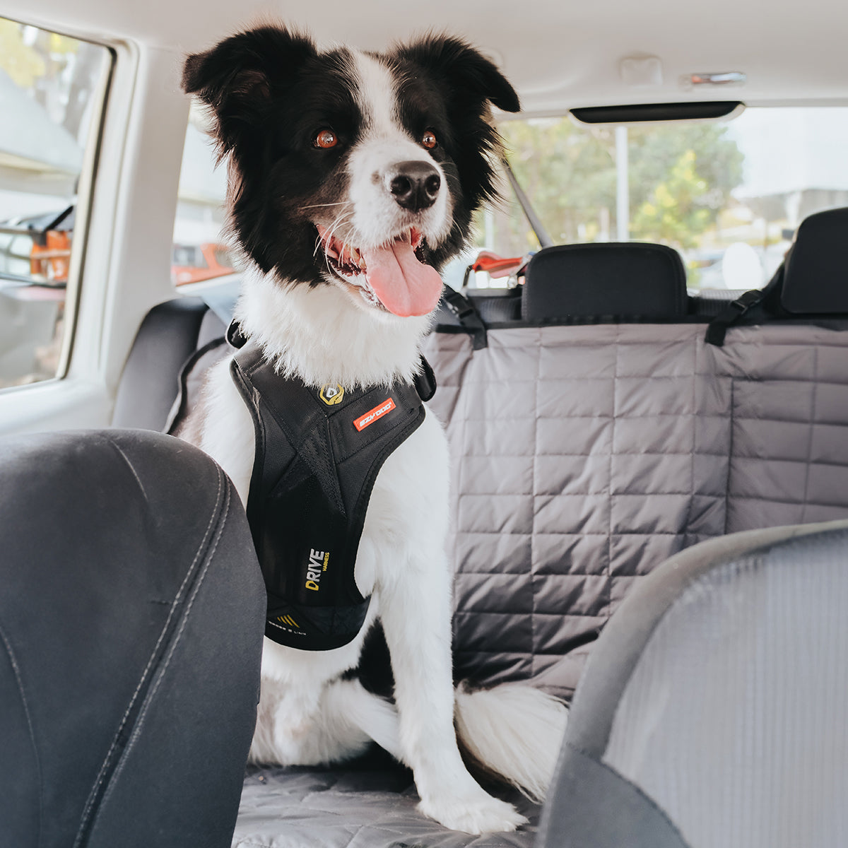 ezydog dog car harness UK - crash-tested and safety harness