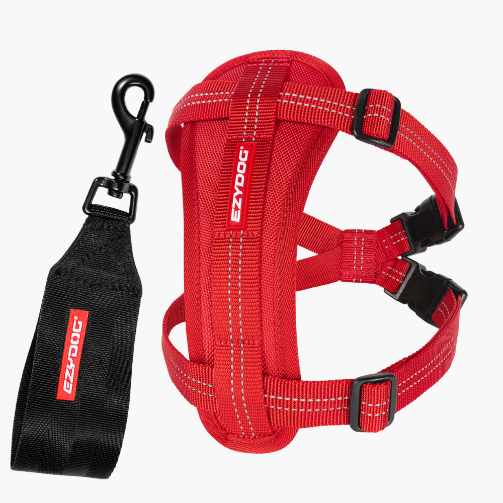 Essential Chest Plate Harness