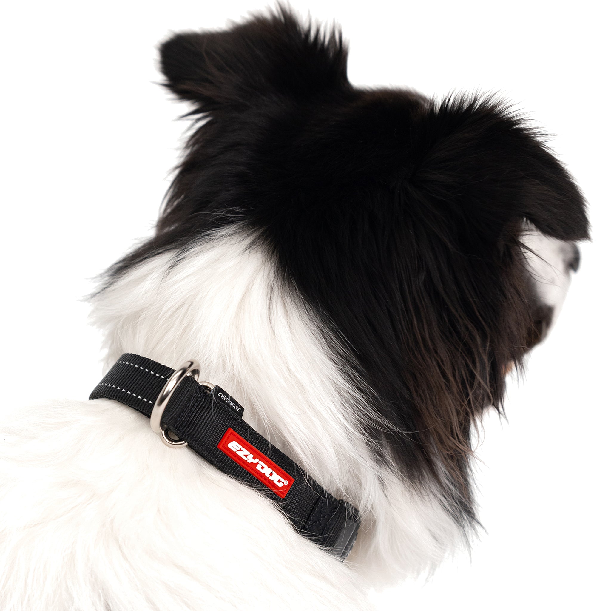 Checkmate Collar Camo