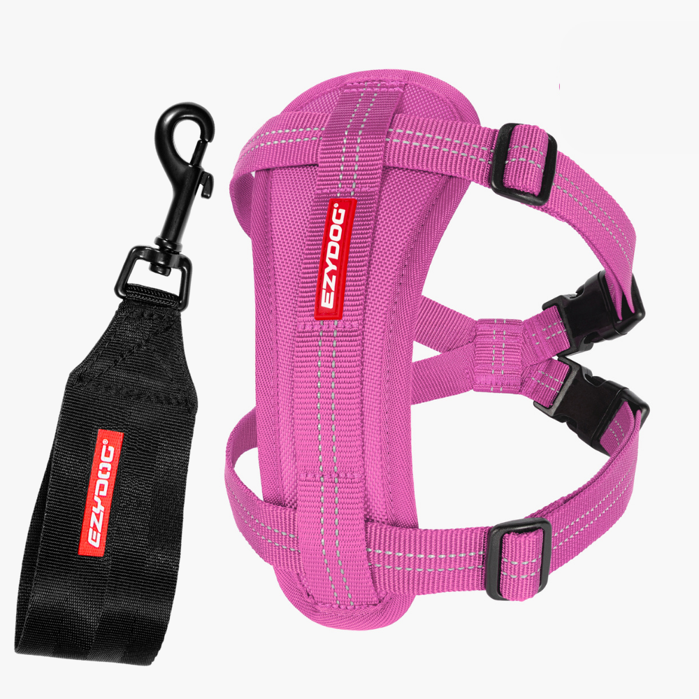 Essential Chest Plate Harness