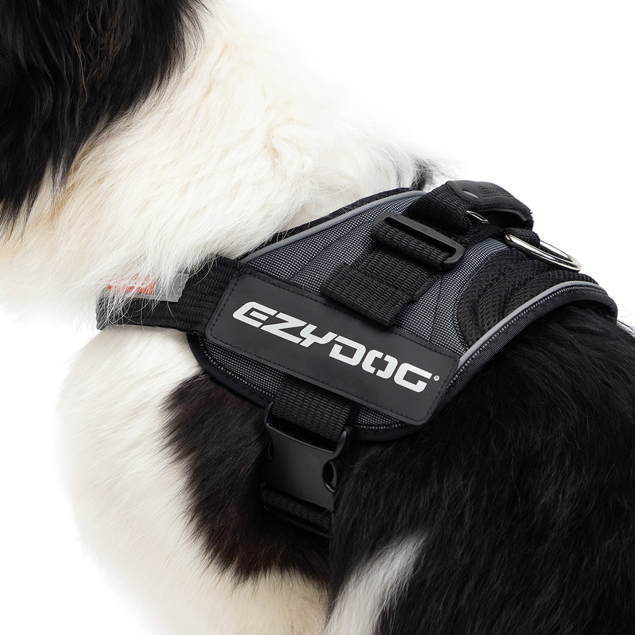 Convert Harness