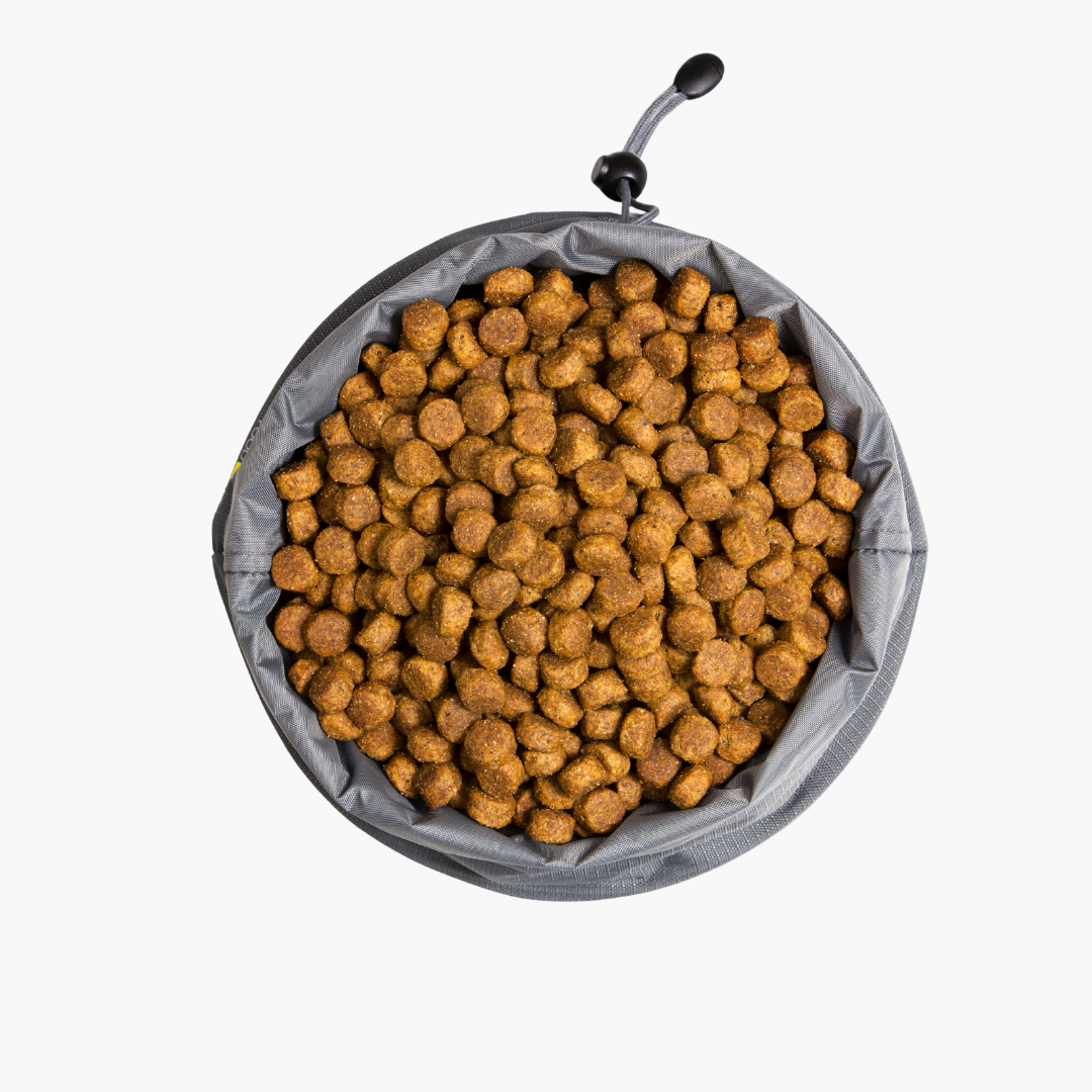 Collapsible dog travel feeding bowl in grey with drawstring