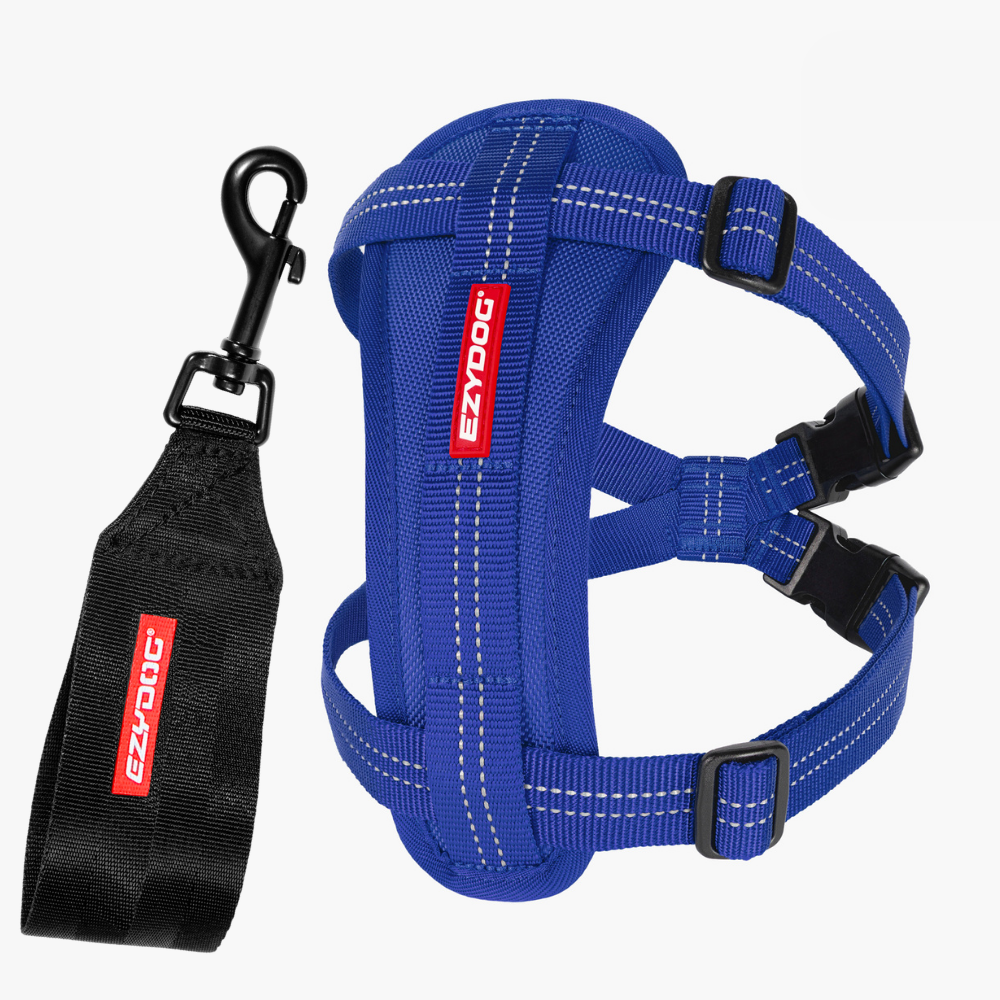 Essential Chest Plate Harness