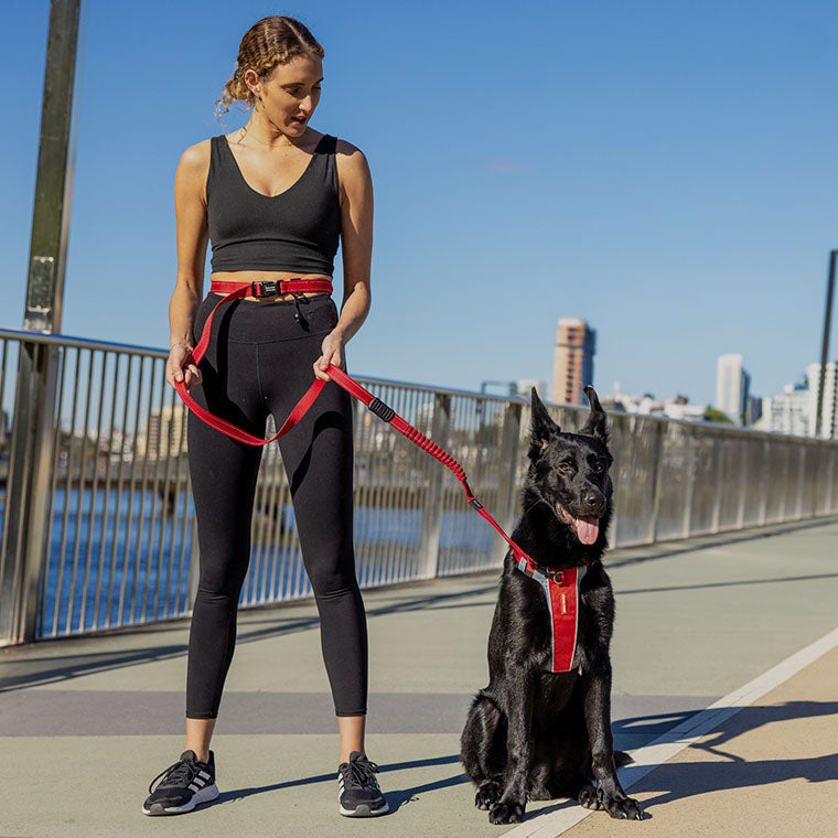 Woman walking a black dog on a leash by a waterfront with city skyline in the background