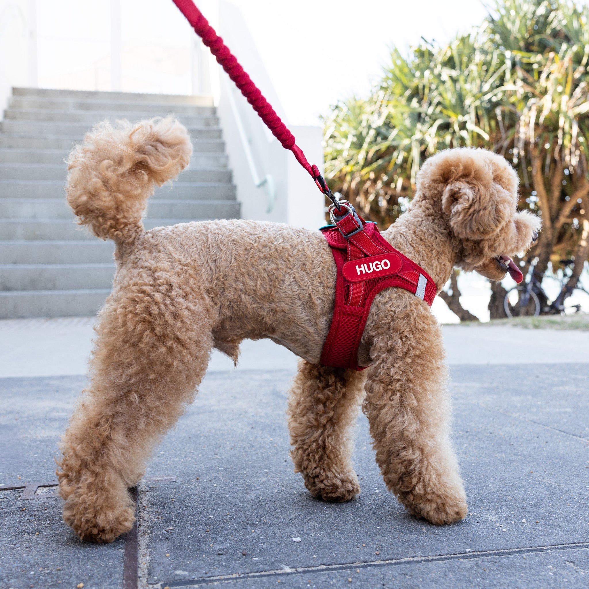 FORMFIT® Mesh Harness