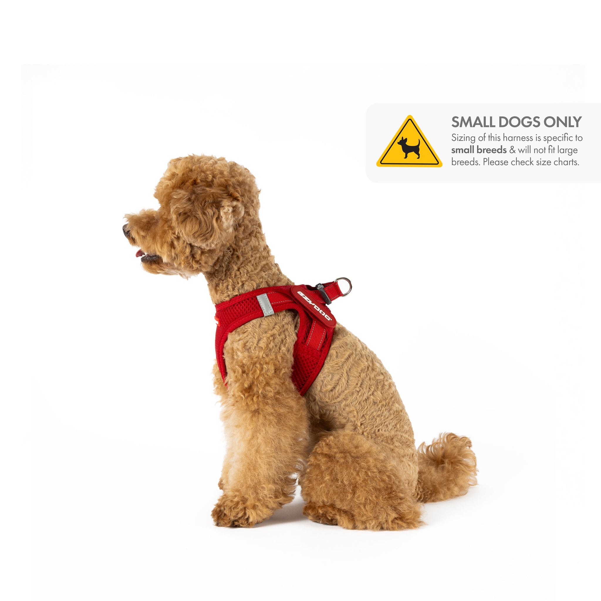 FORMFIT® Mesh Harness