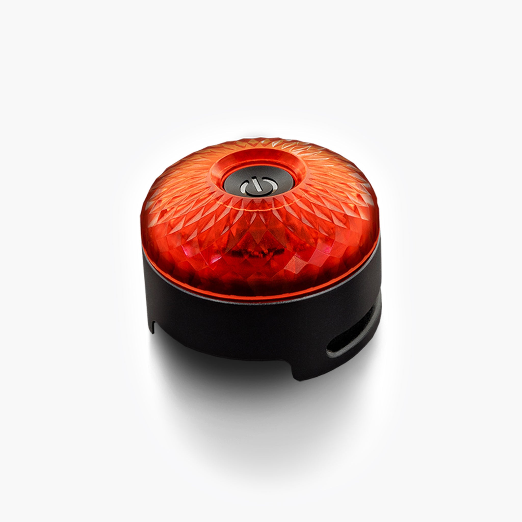 Go-2 Dog Lights