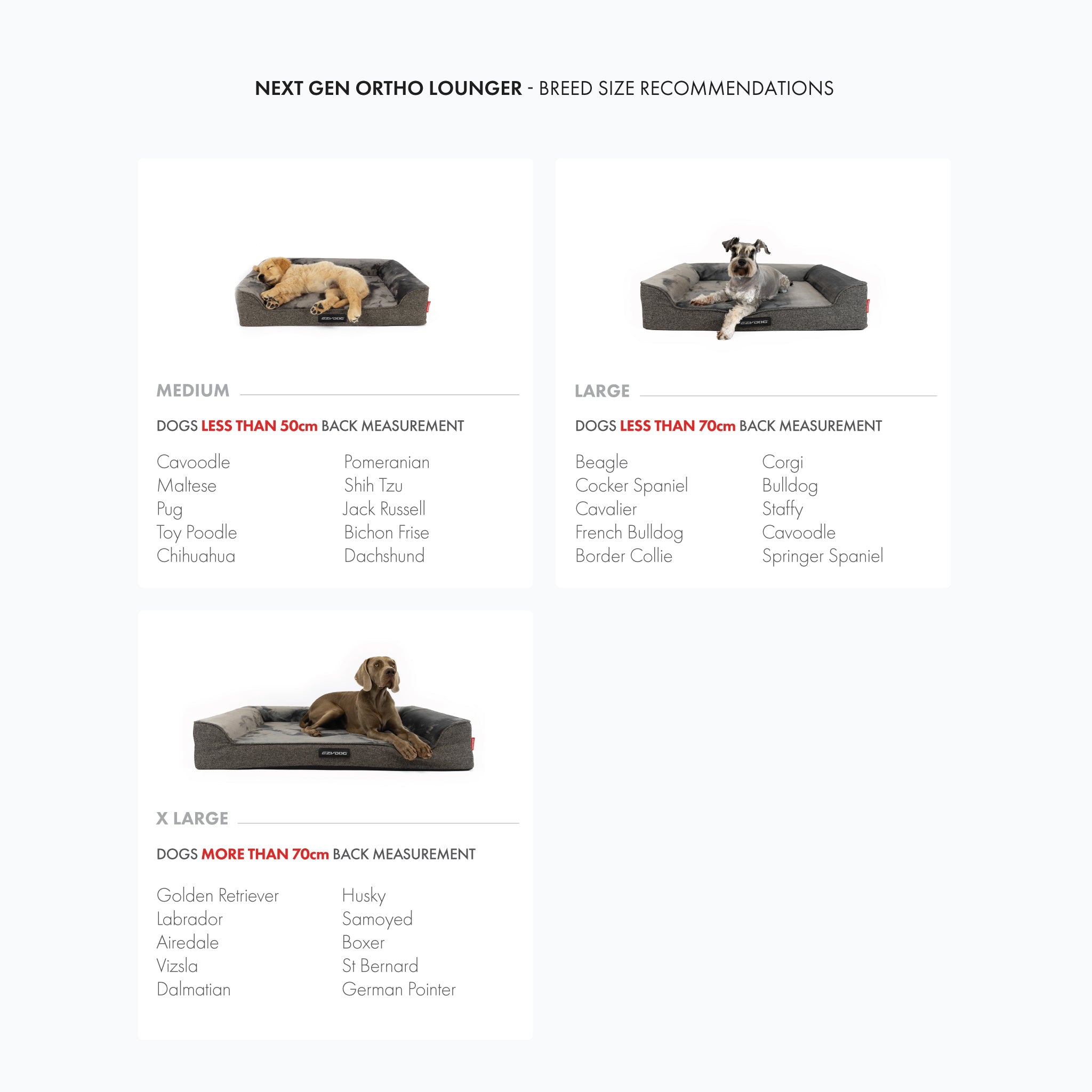 Next Gen Orthopaedic Lounger Dog Bed