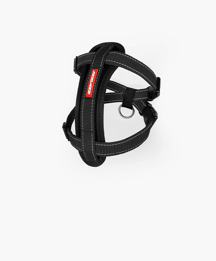 EzyDog Chest Plate Harness size guide