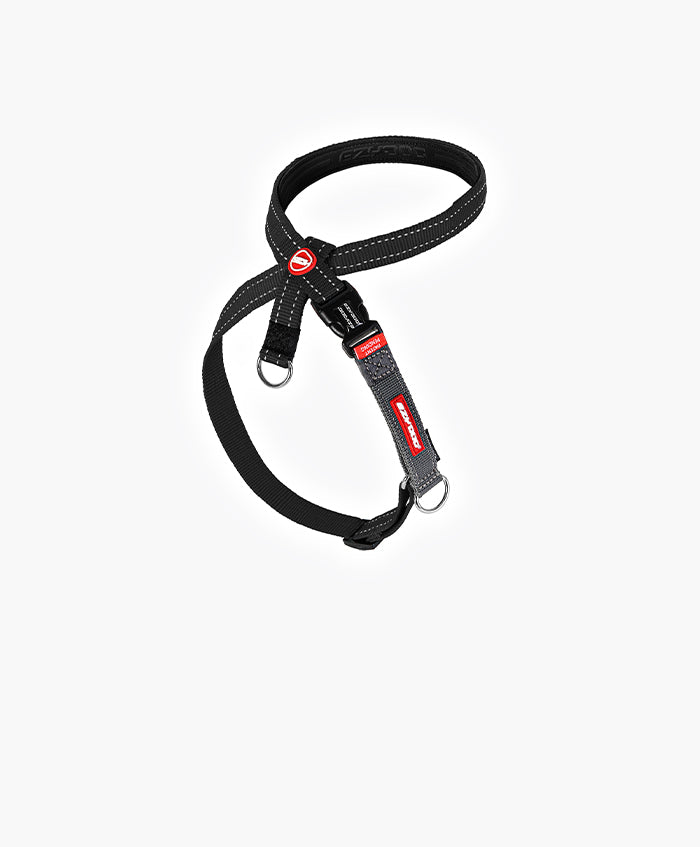 A black Crosscheck 'No Pull' Dog Training Harness with red stitching and the EzyDog brand tag, designed for training and walking dogs with multiple lead attachment points.