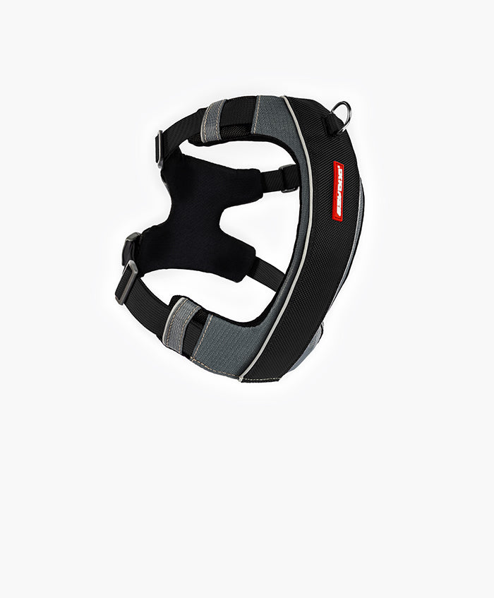 EzyDog X-Link Harness in black