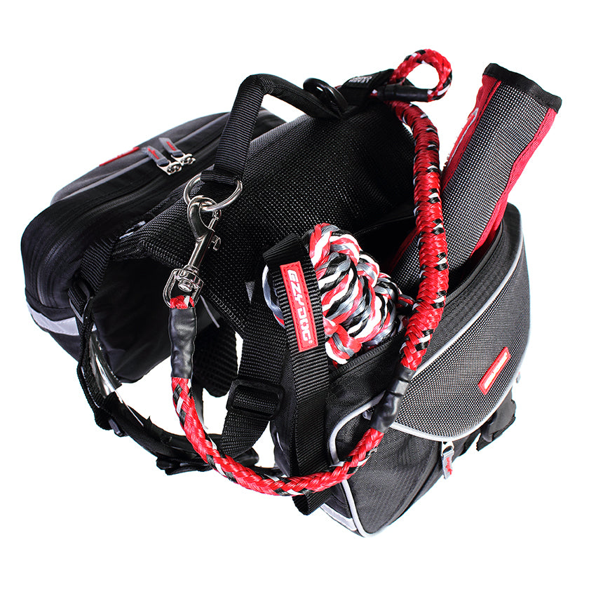 Summit Backpack V1