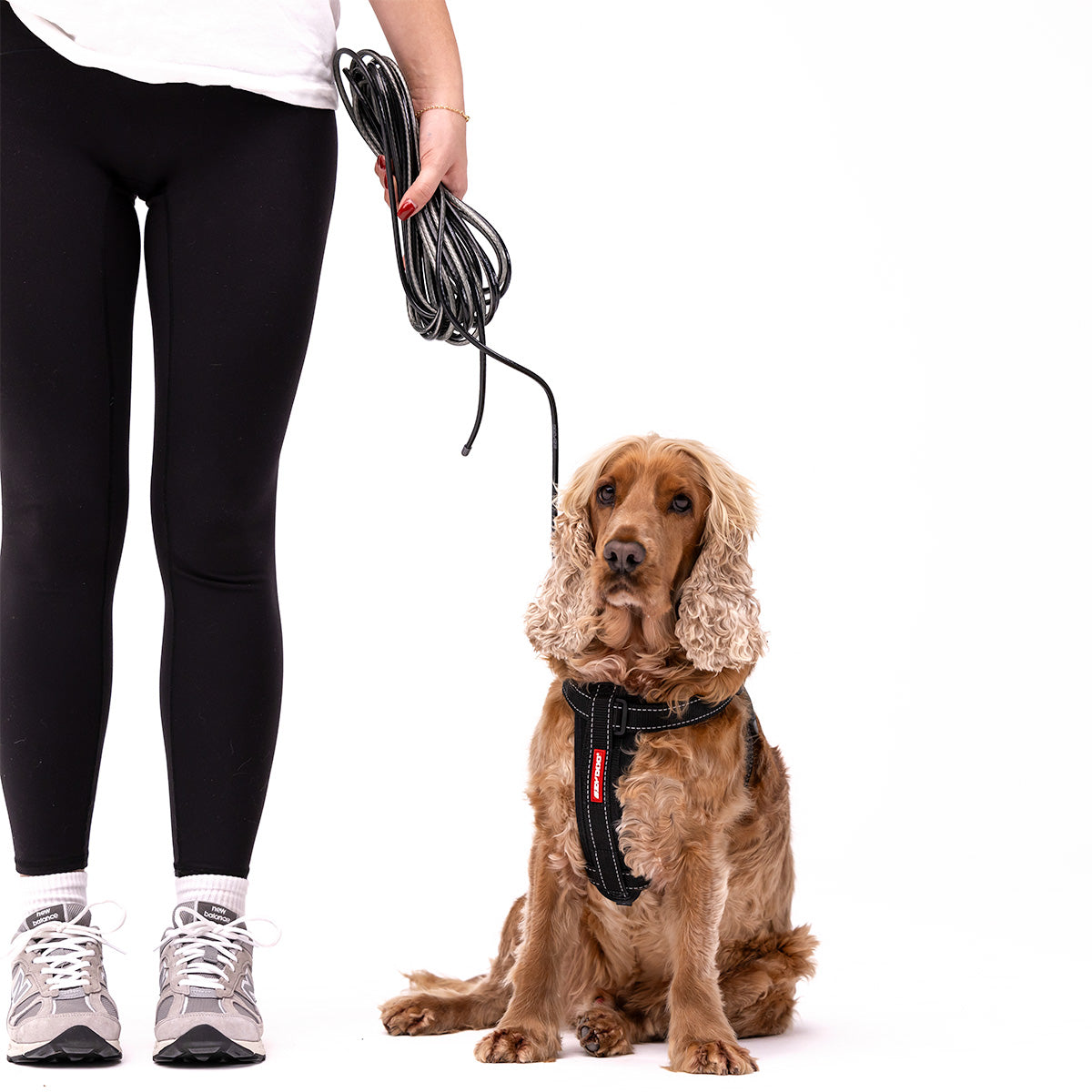 Track n Train Slimline Dog Lead