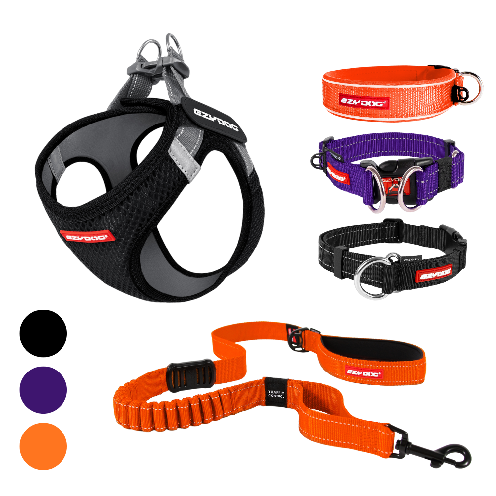 Dog harness, collars, and leash set with visible brand on a white background