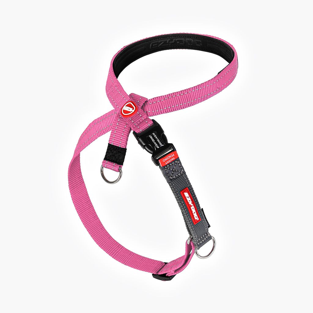 Crosscheck Harness
