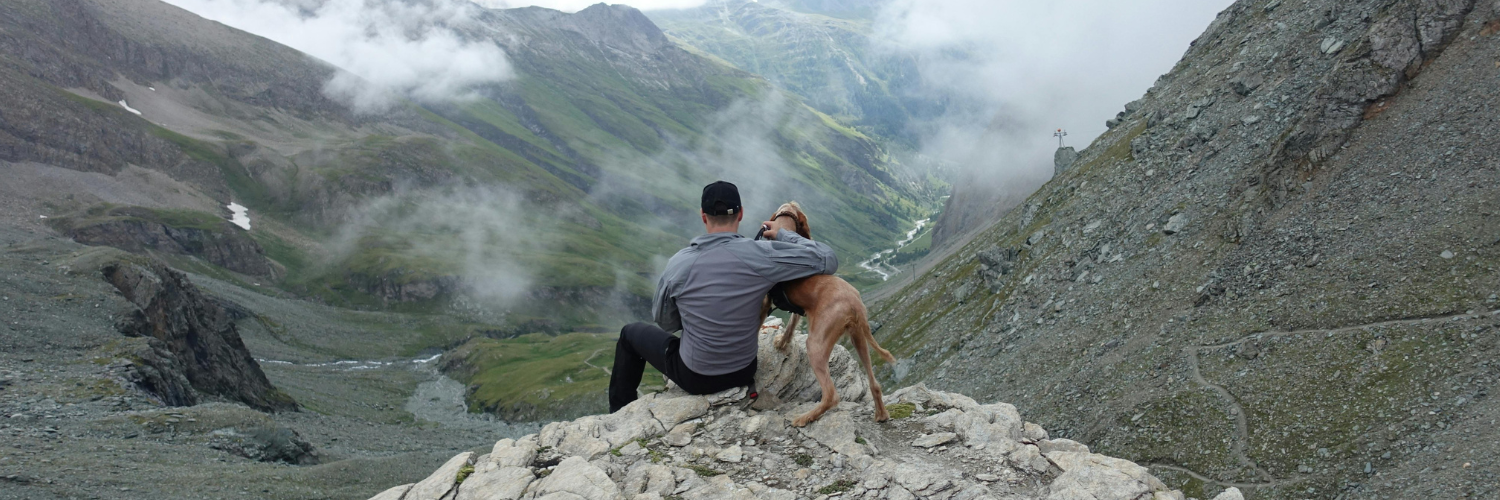 hiking with a dog in the UK hills