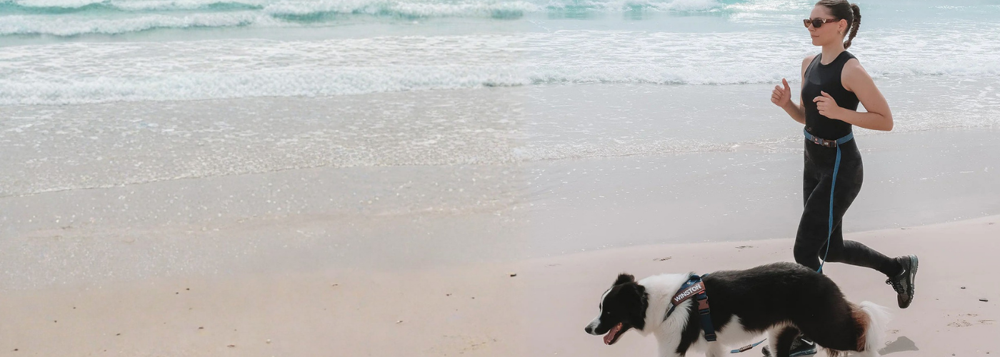 Running Lead for Dogs UK: Best Options for Jogging With Your Dog