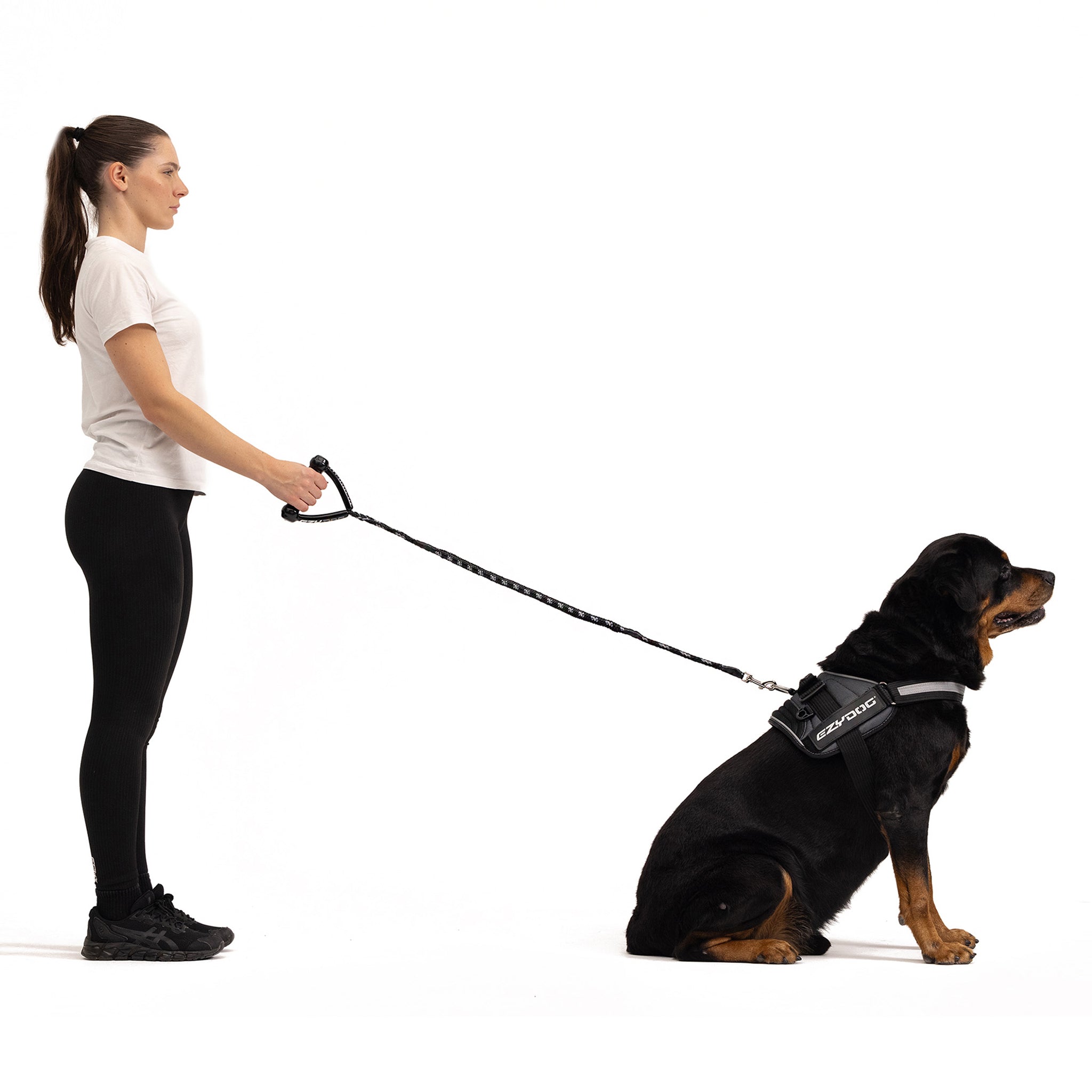 Original EzyDog Gear