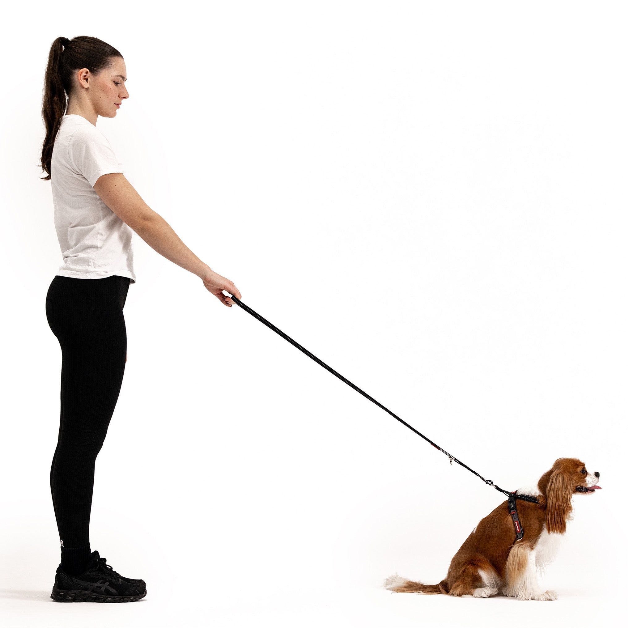 Crosscheck Harness: secure and escape design harnesses