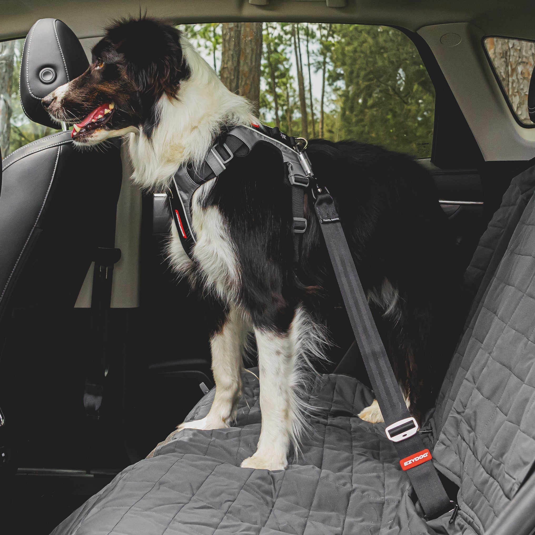 Heavy-Duty Dog Leads