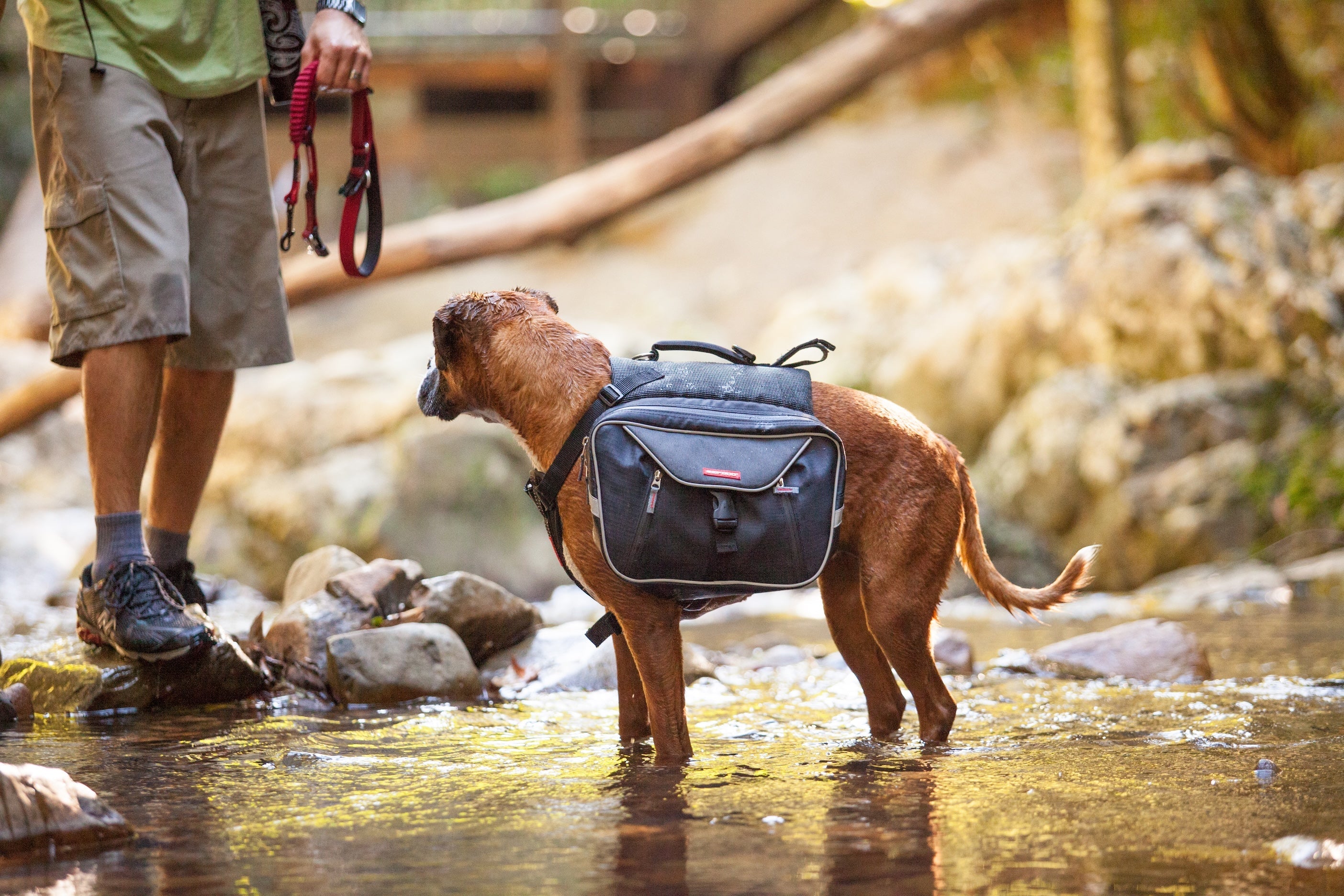 Durable EzyDog dog backpacks with adjustable straps designed for comfort and convenience.