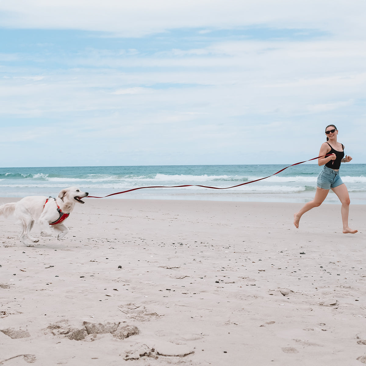 EzyDog Track N Train Long Dog Lead used for recall training on a beach, showing 5m length and rubberised grip for control