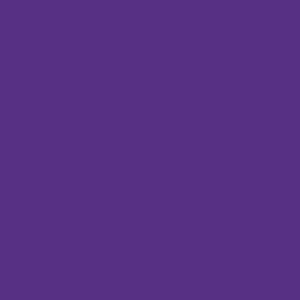 SHOP PURPLE