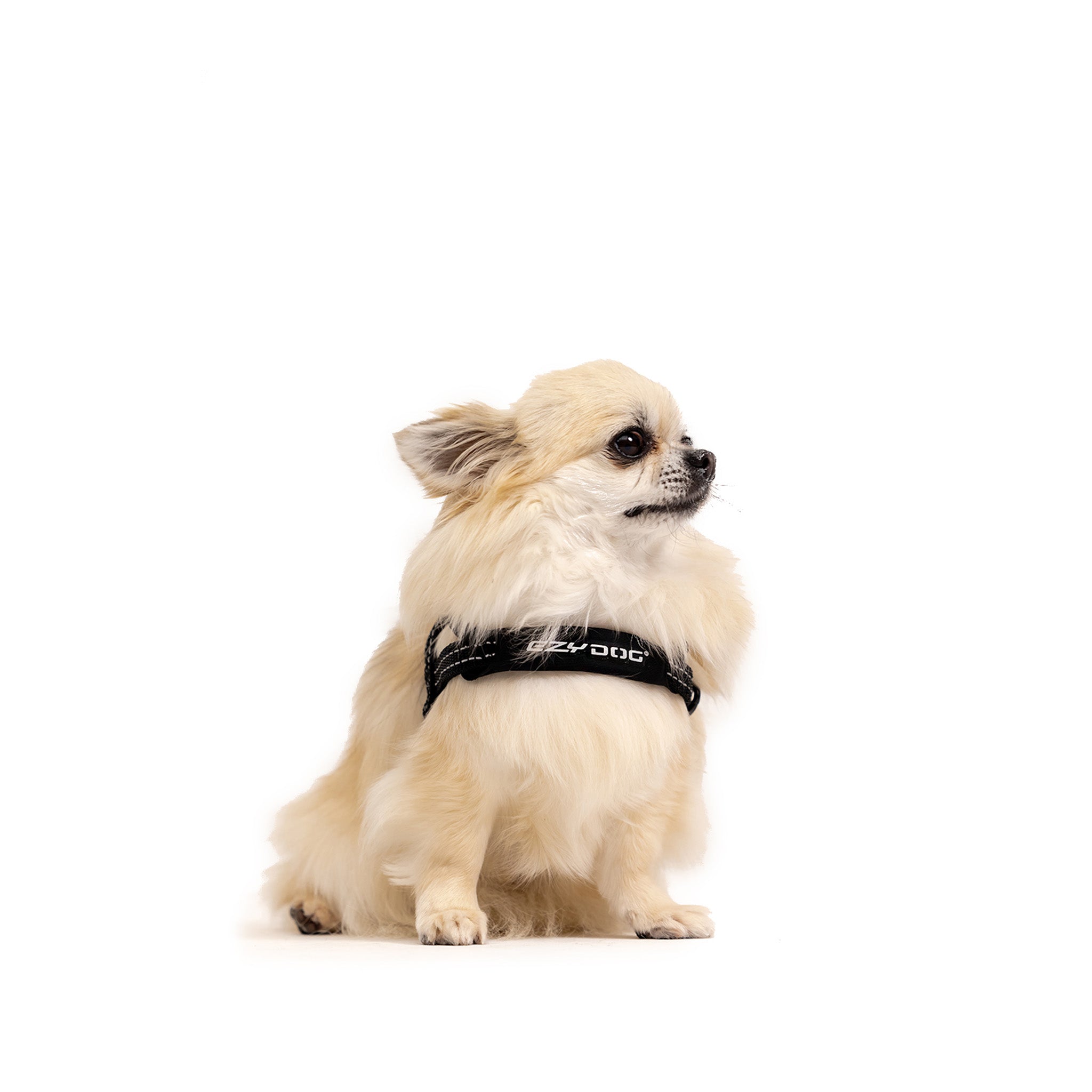 Quick Fit Harness Easy Fit Dog Harness EzyDog UK