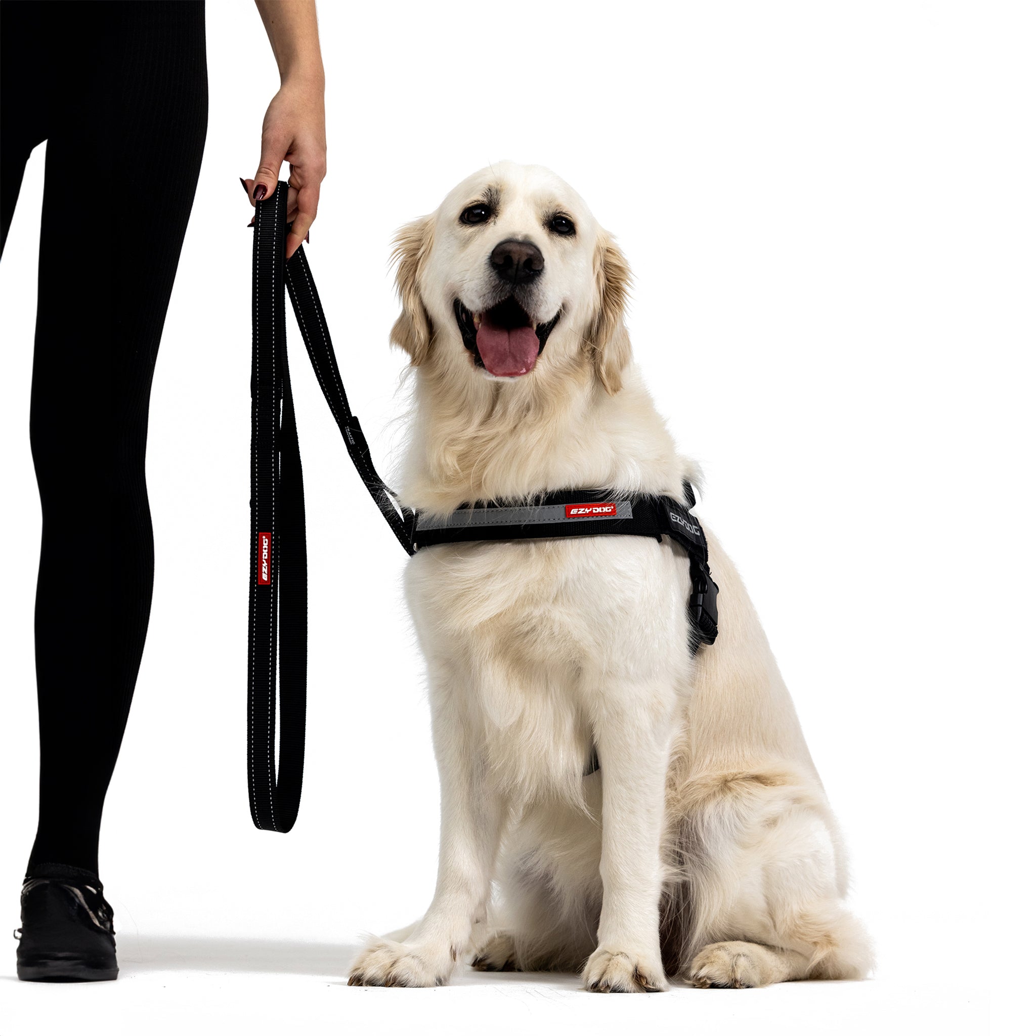 Soft Trainer Dog Lead