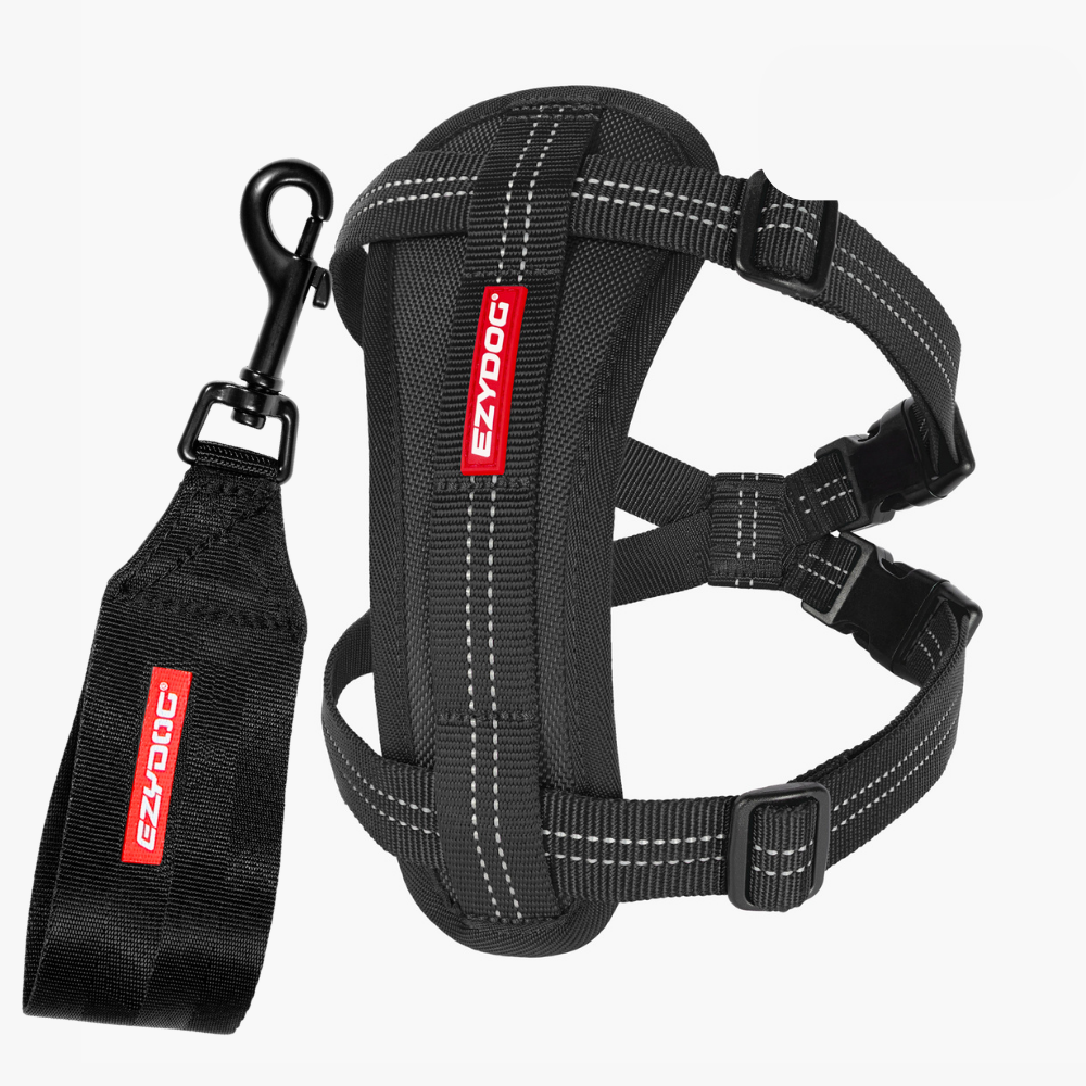 Essential Chest Plate Harness