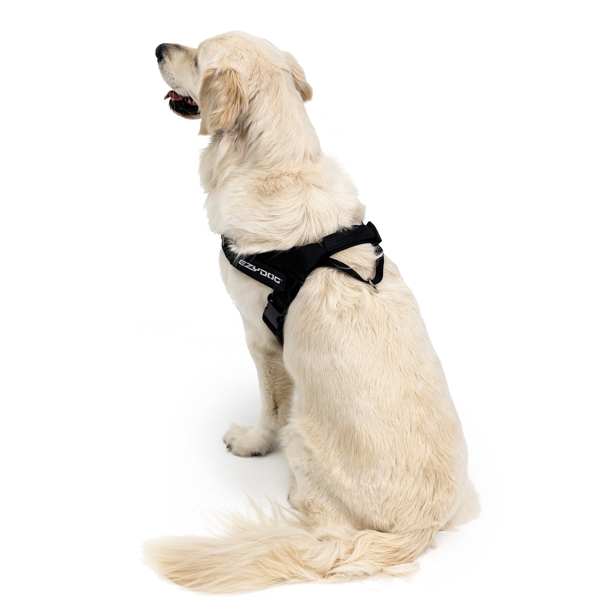 Express Harness - Camo