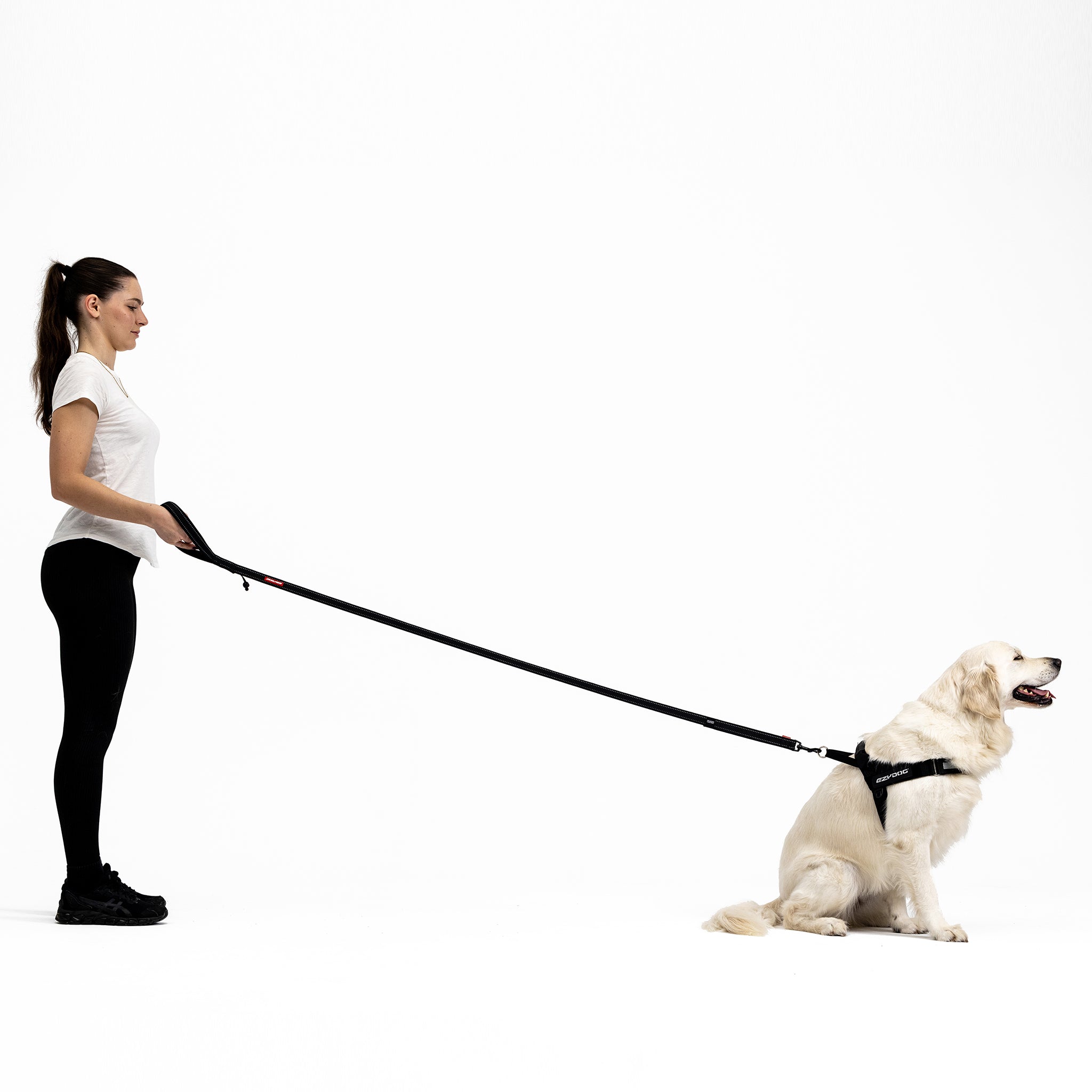 Soft Trainer Dog Lead