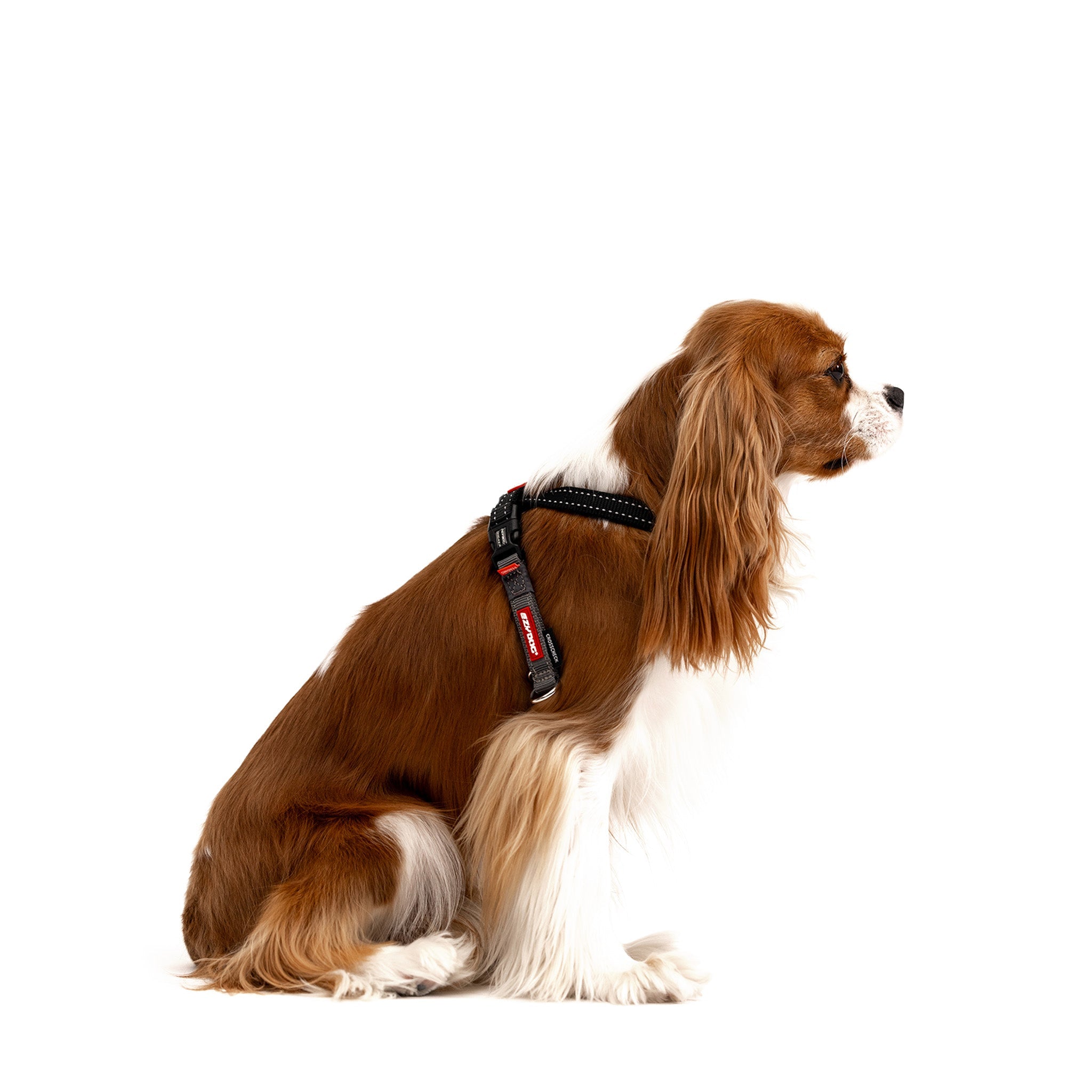 Dog Harnesses - All Breeds | EzyDog UK