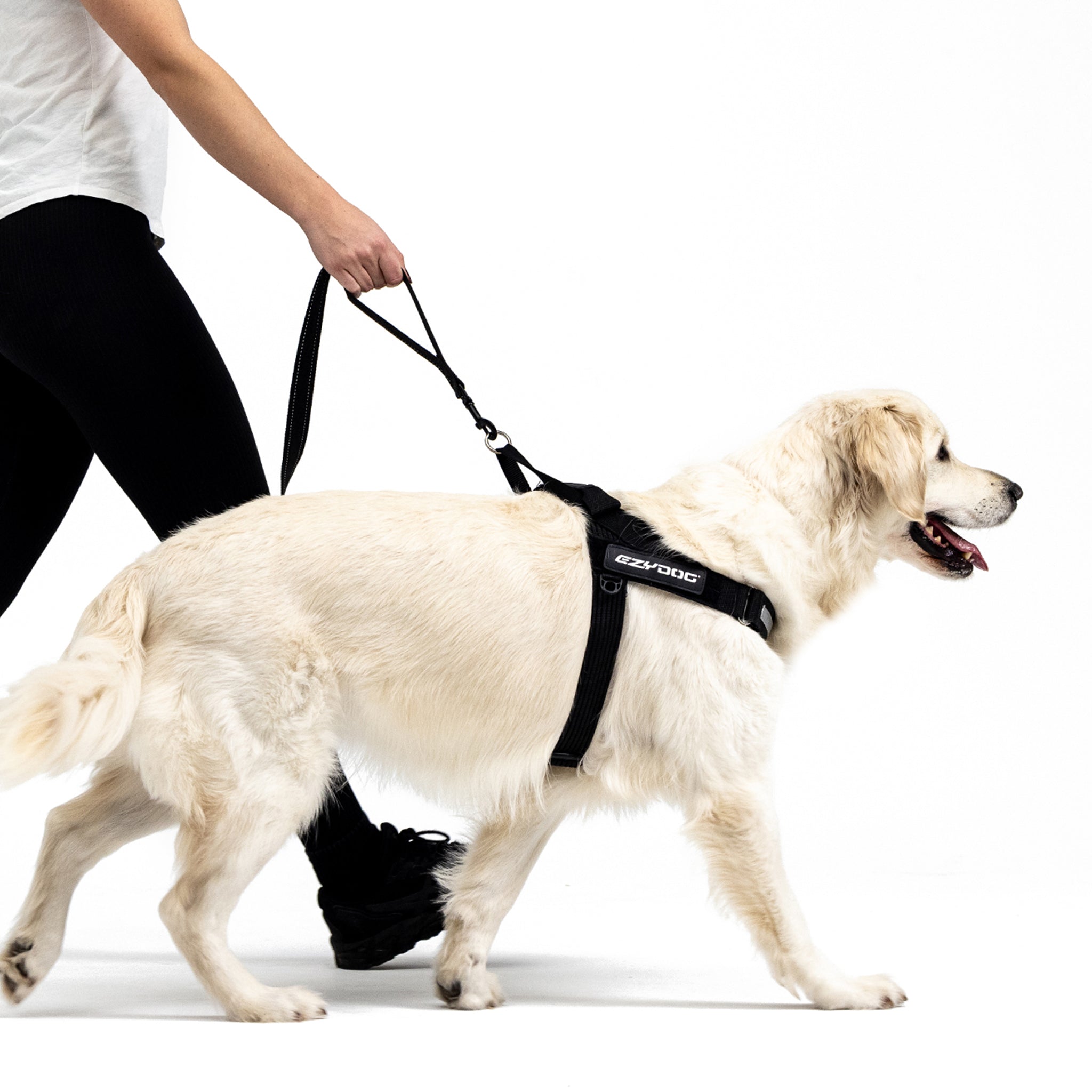 Soft Trainer Dog Lead