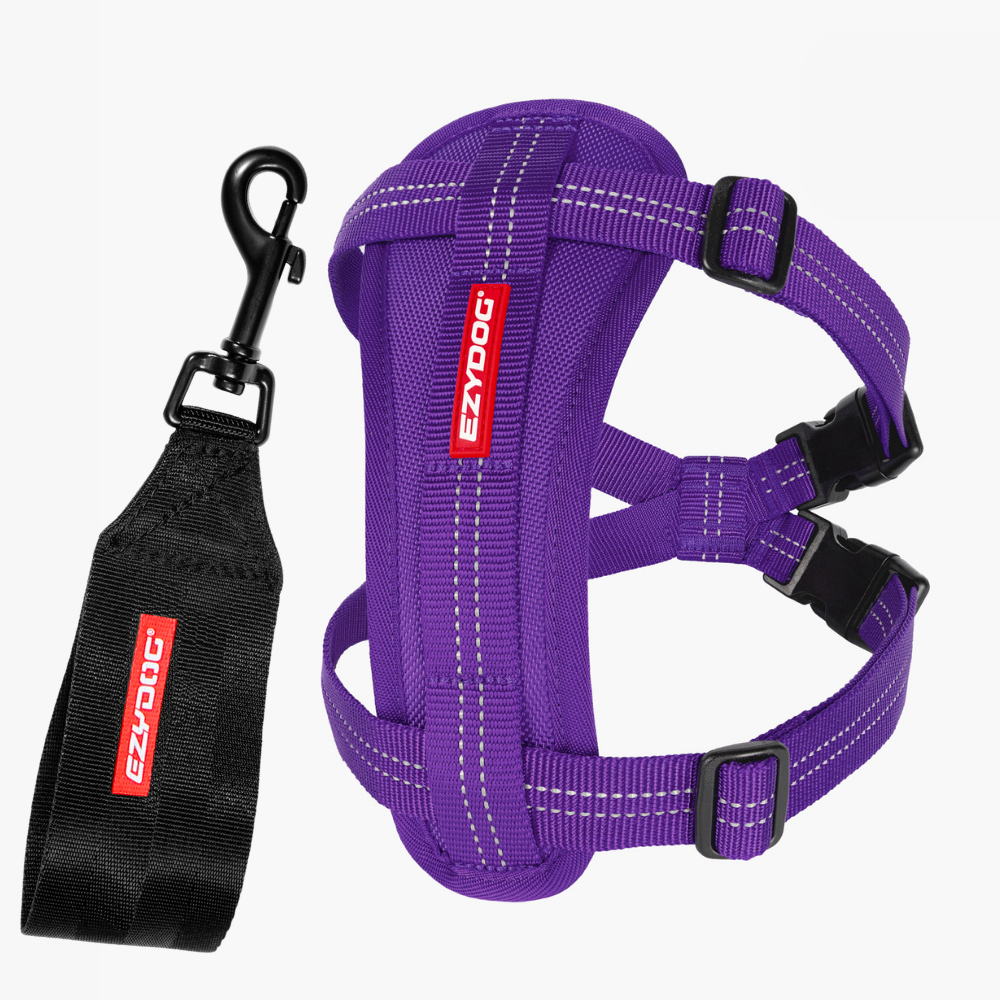 Essential Chest Plate Harness