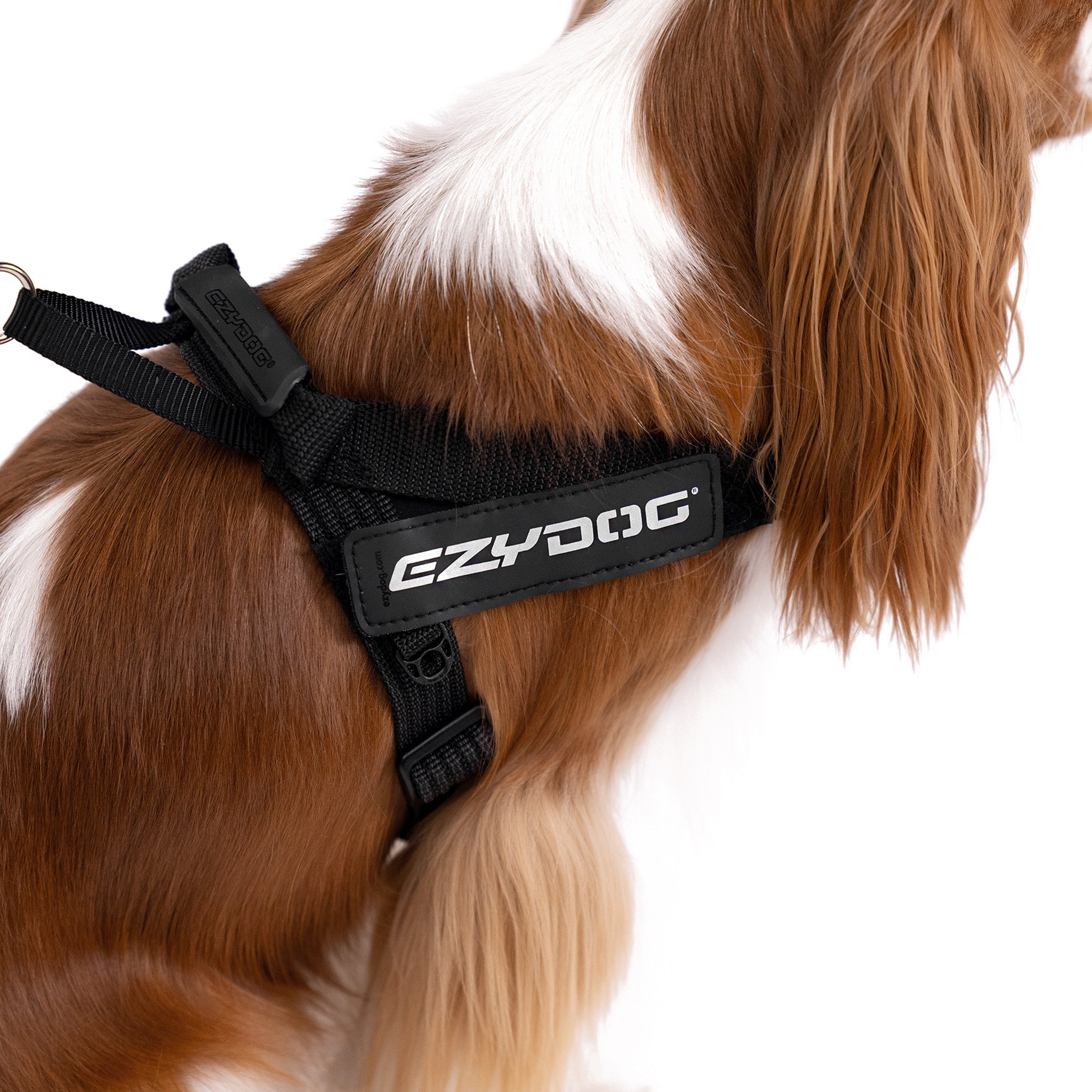 Express Harness