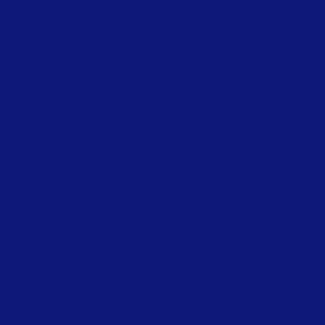 SHOP BLUE