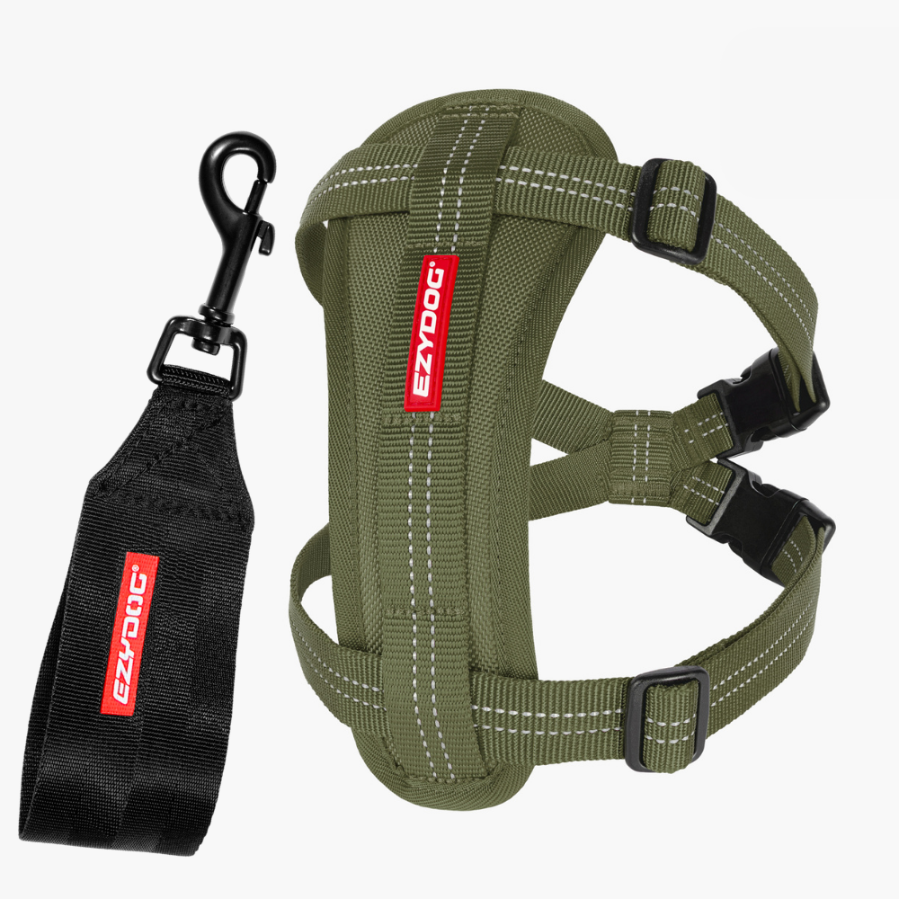 Essential Chest Plate Harness