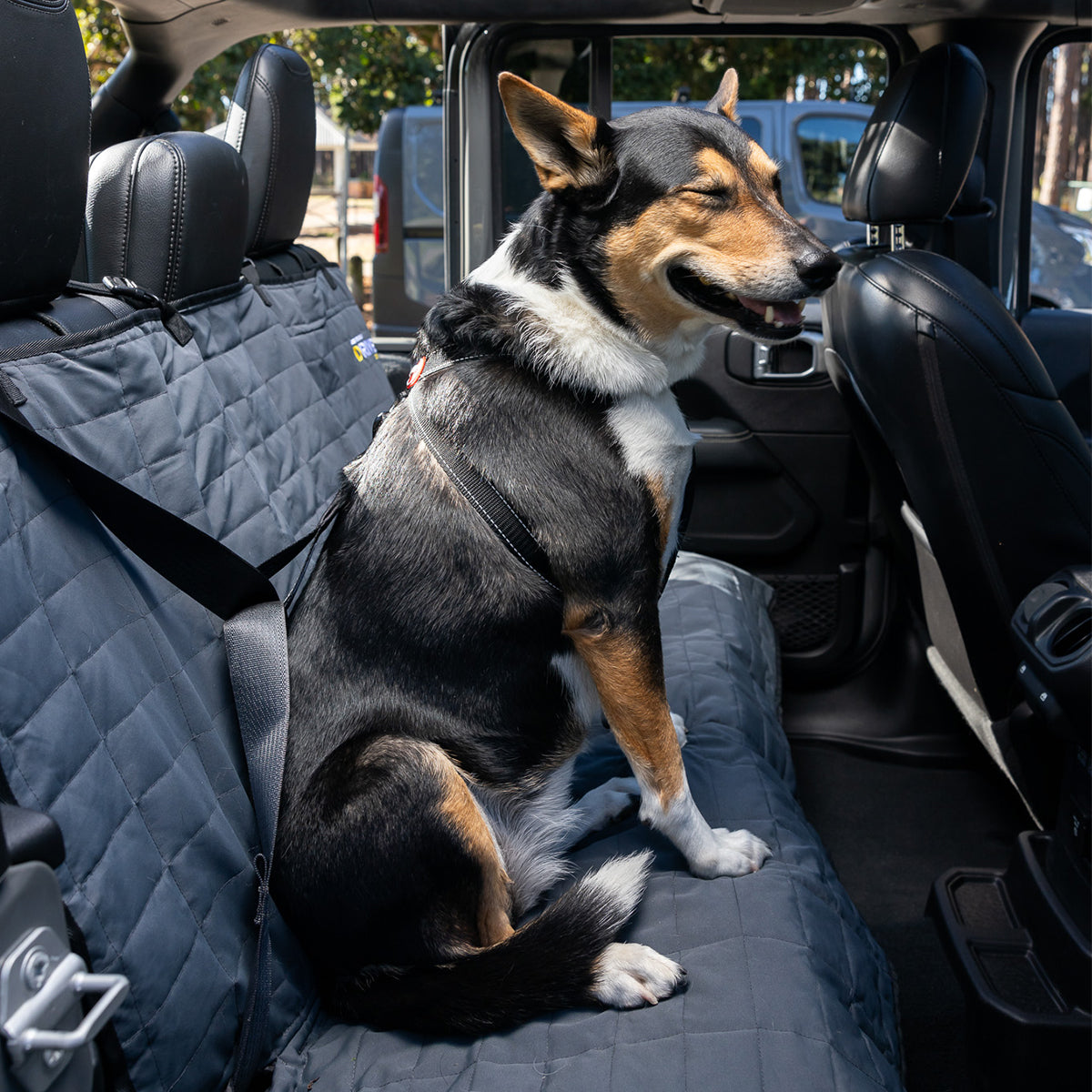 Drive  - Car Seat Cover for Dogs