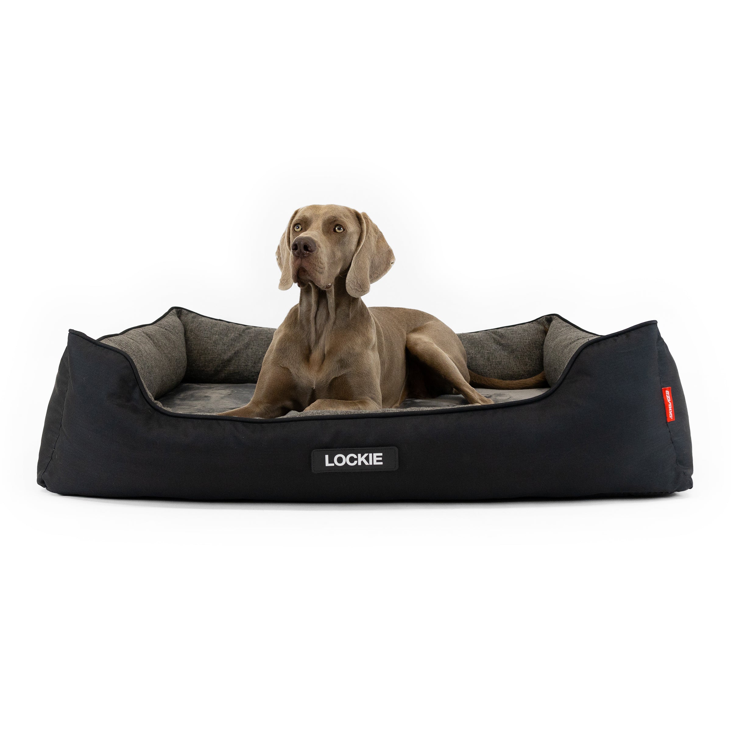 Smart Orthopaedic 2 in 1 Design Dog Bed
