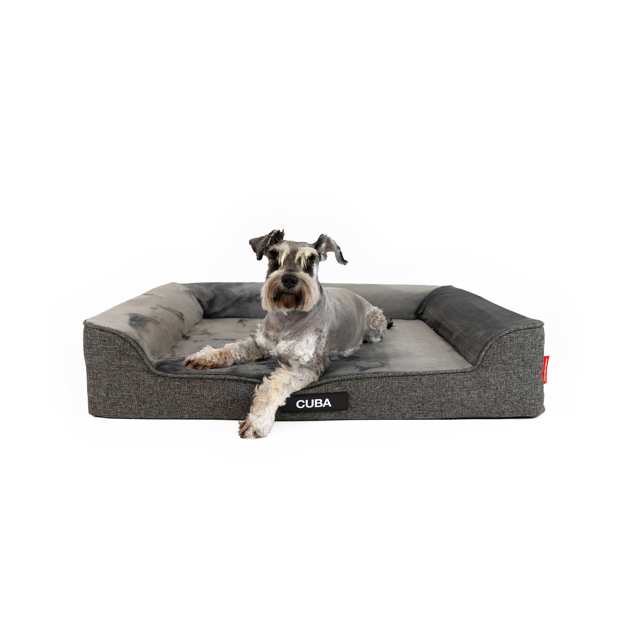 Next Gen Orthopaedic Lounger Dog Bed