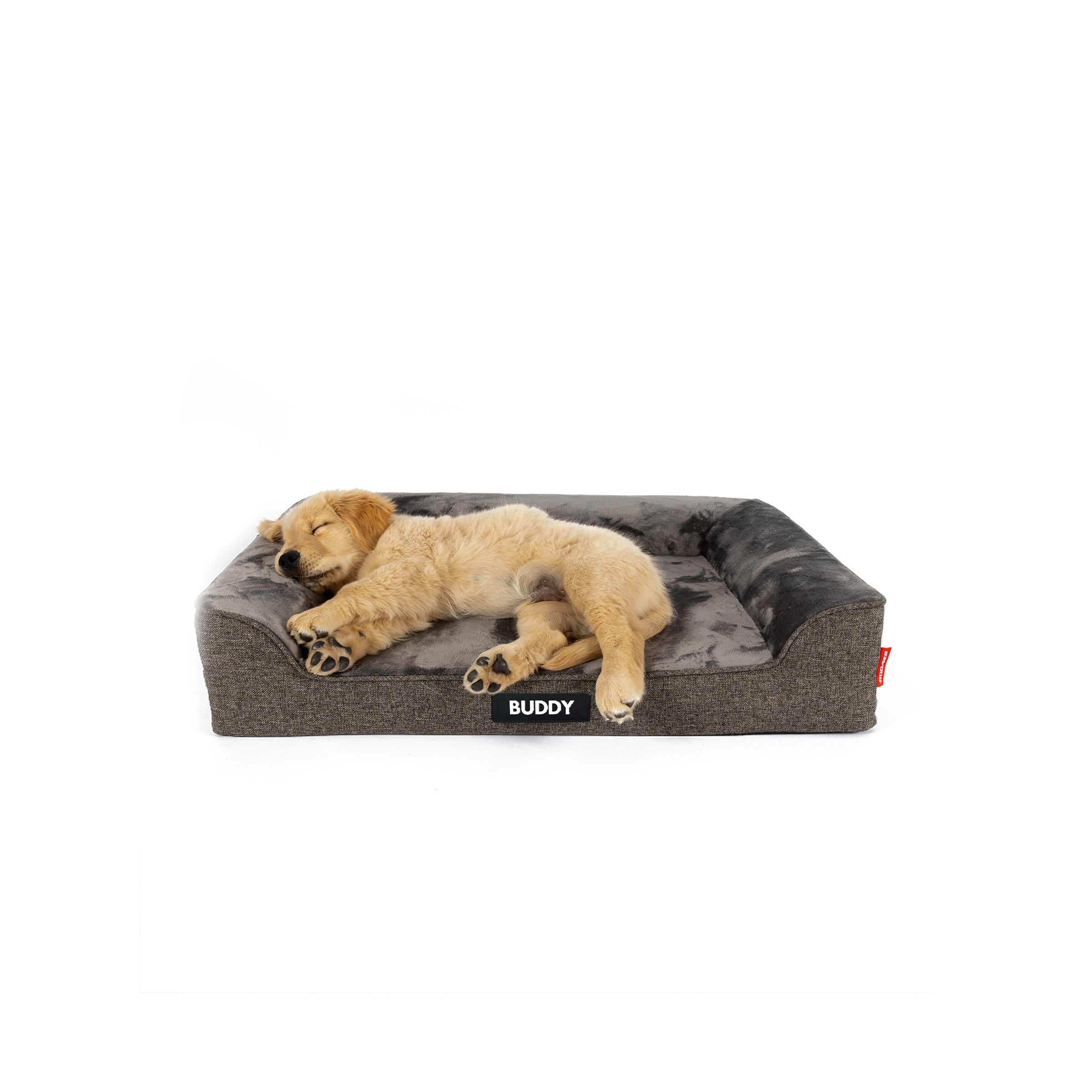 Next Gen Orthopaedic Lounger Dog Bed