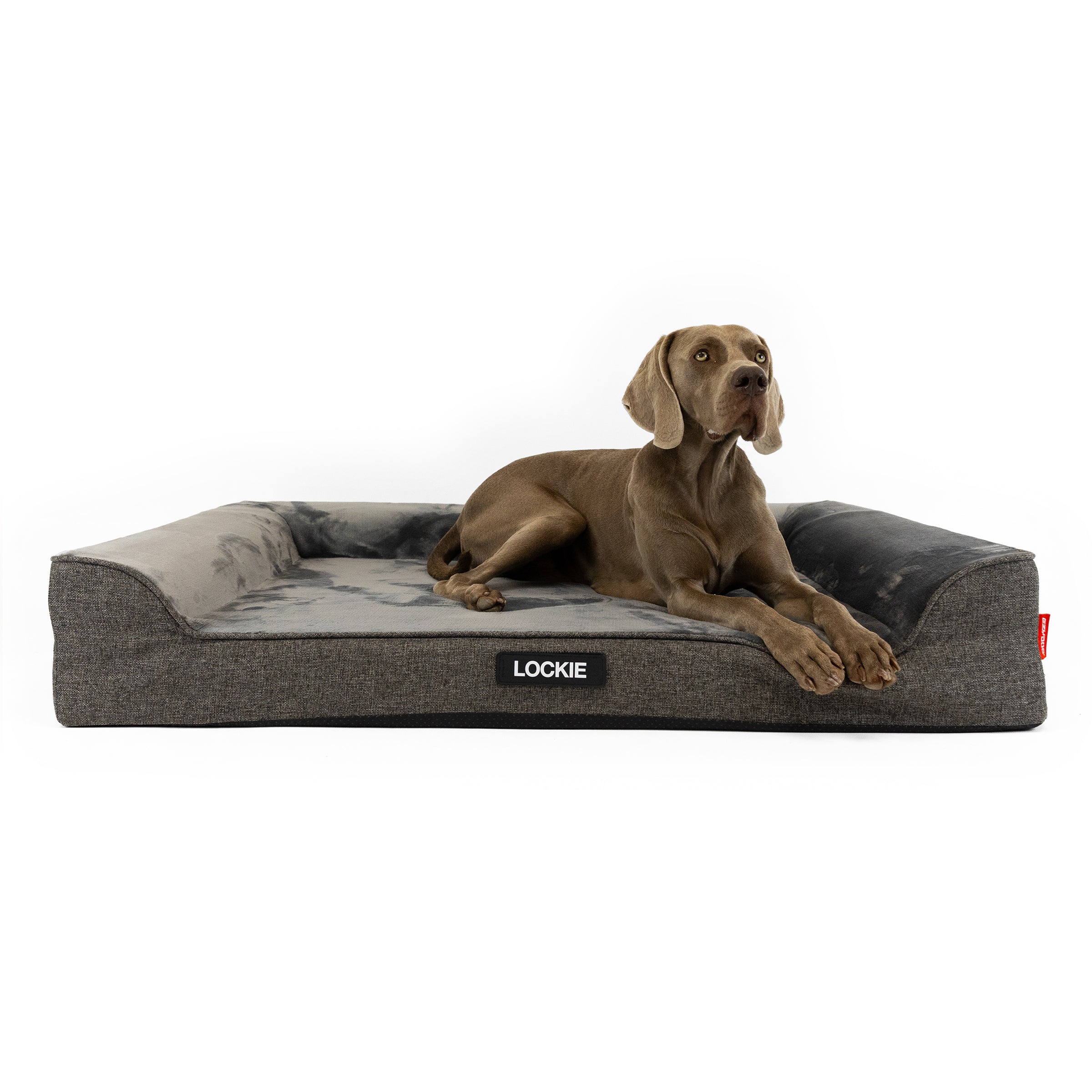 Next Gen Orthopaedic Lounger Dog Bed