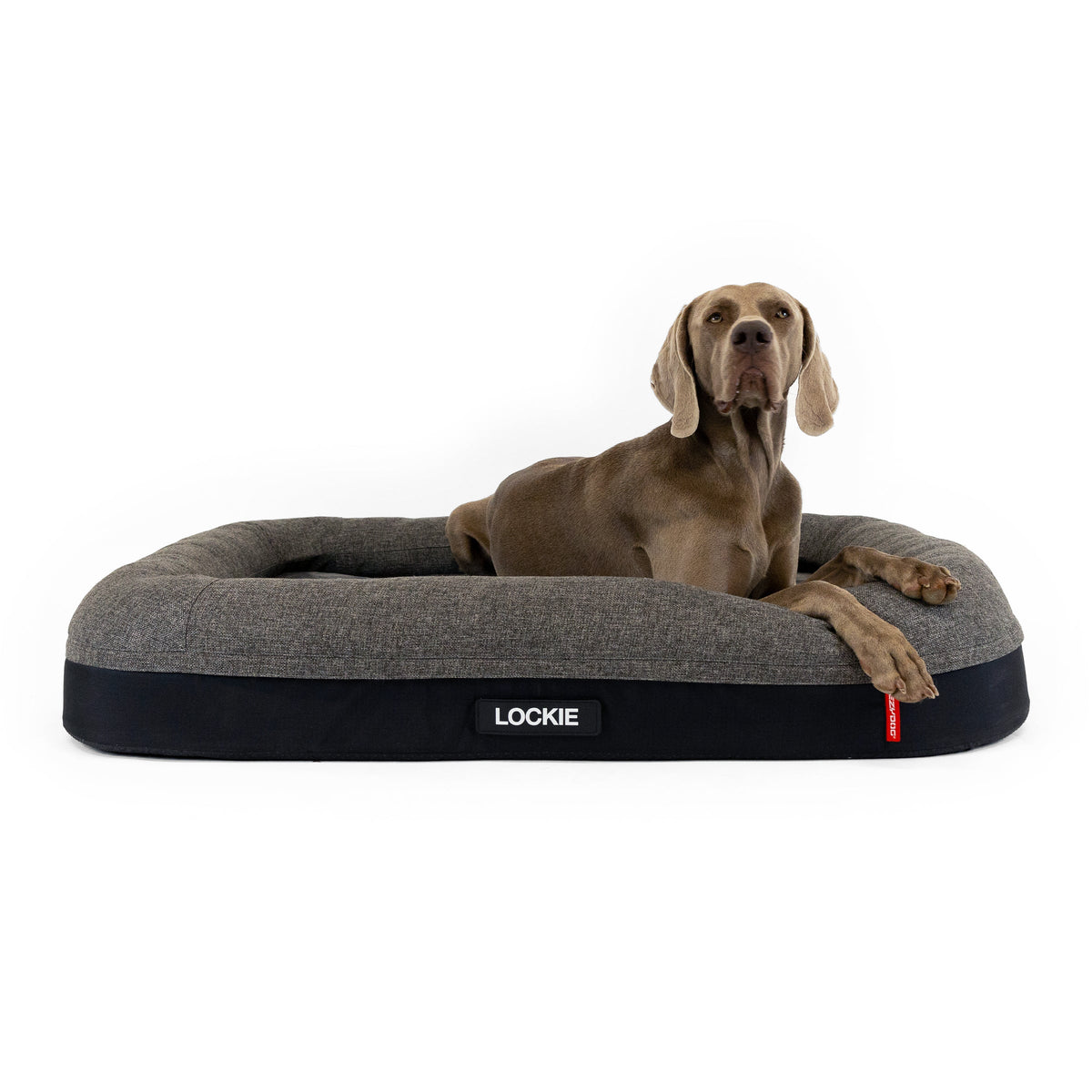 Calm Elite Orthopaedic 2-in-1 Dog Bed