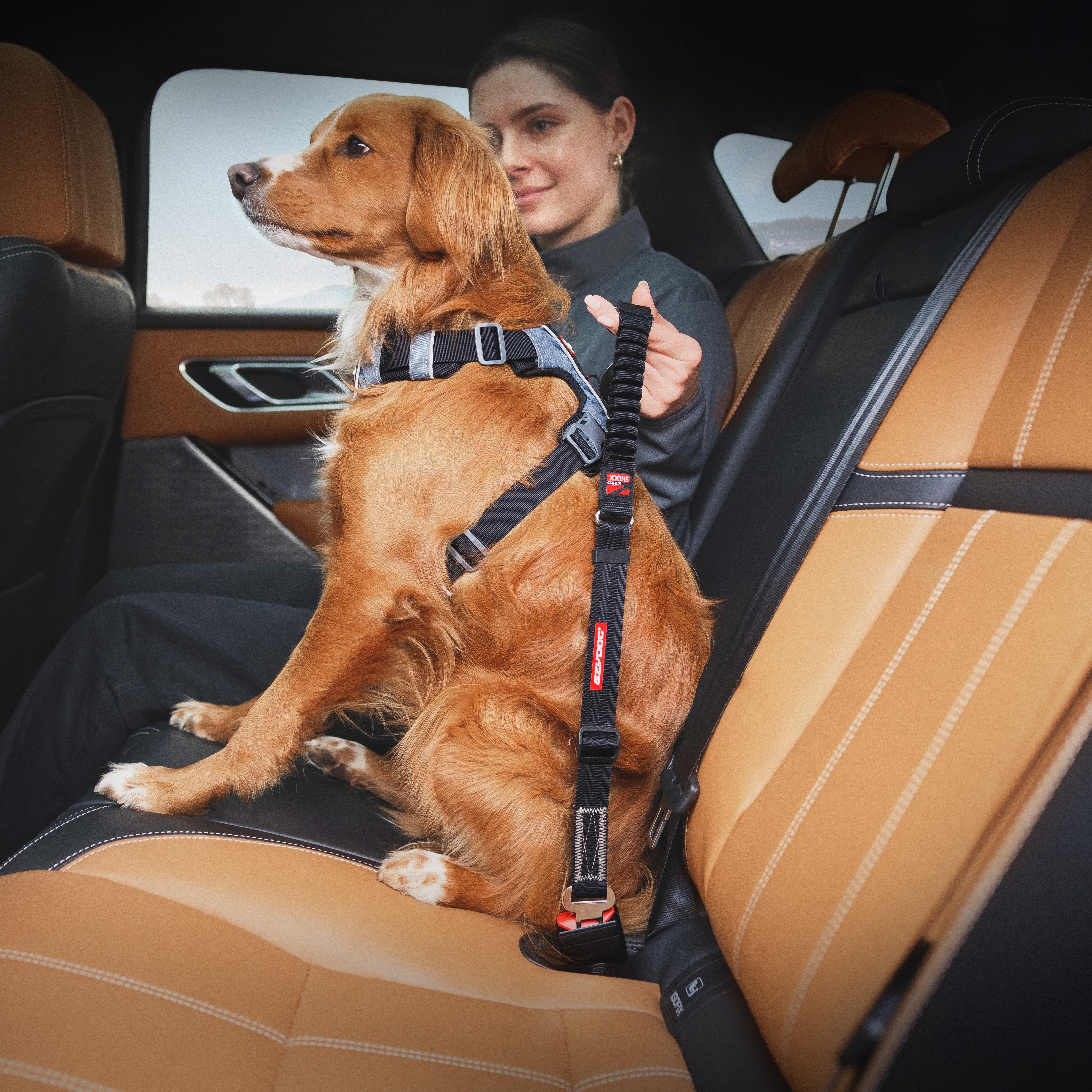 Click Dog Seat Belt Attachment - Zero Shock